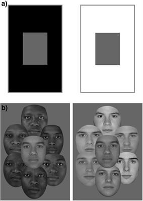 Shining a Light on Race: Contrast and Assimilation Effects in the Perception of Skin Tone and Racial Typicality